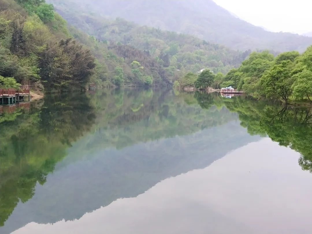 【康养旅居-最康县】梦中的梅园