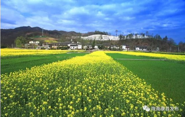 /upload/Article/2017/04/46947d07-8147-43eb-b1df-5dc3180d32b6.png