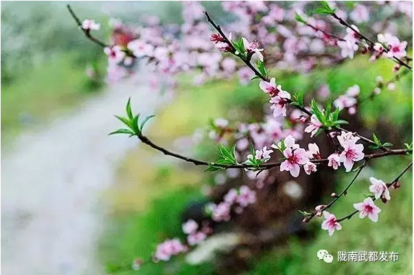 /upload/Article/2017/04/9f623fd8-b5f7-4648-8b6f-1a3477c83df1.png