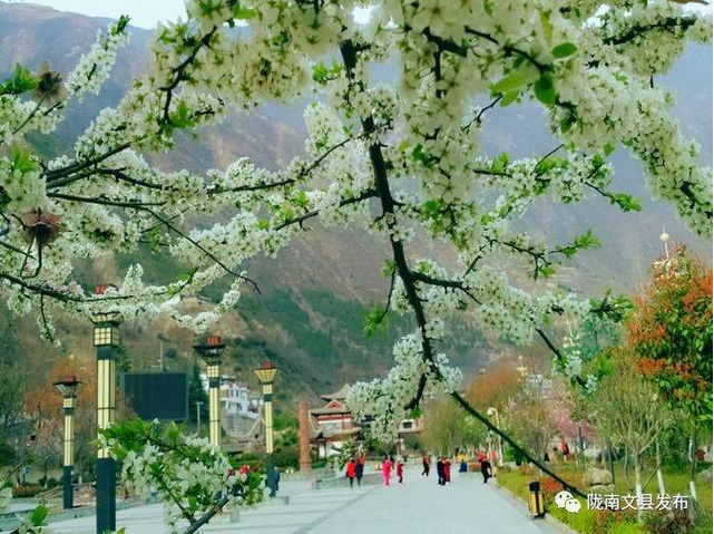 /upload/Article/2017/04/c35d1259-e156-44af-802d-afa71feca653.png