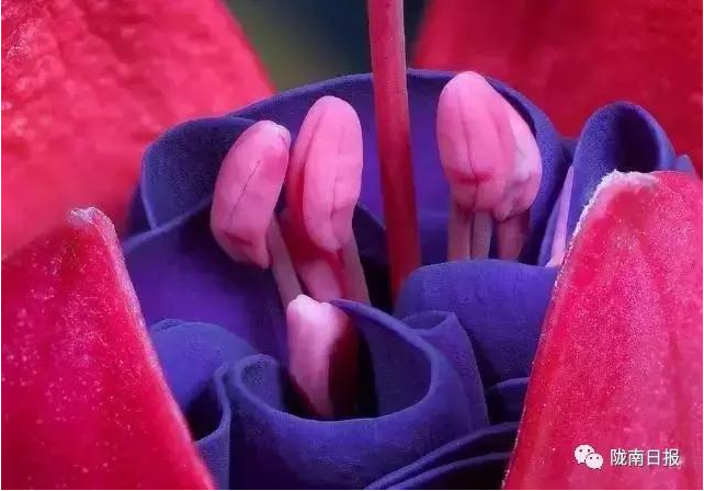 /upload/Article/2017/04/e6089153-60d3-416f-8145-25dd11097fbb.png